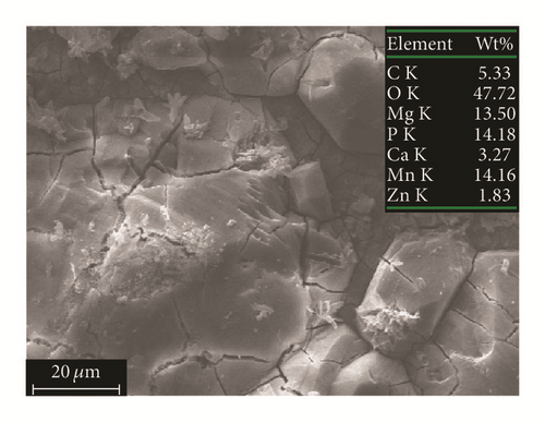 Details are in the caption following the image