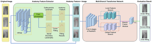 Details are in the caption following the image Details are in the caption following the image