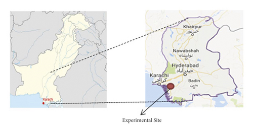 Details are in the caption following the image
