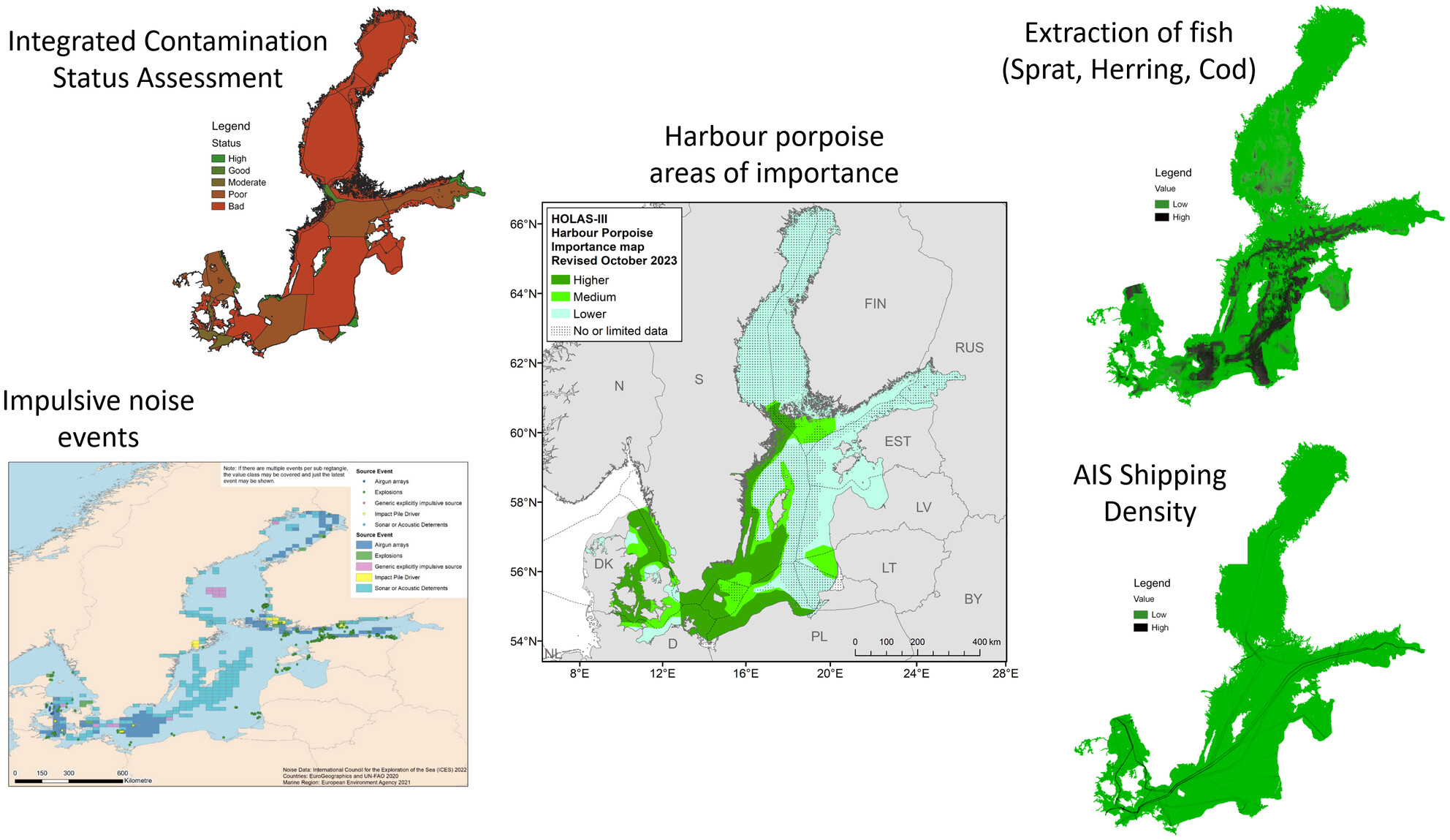 Current species protection does not serve its porpoise—Knowledge gaps on the impact of pressures on the Critically Endangered Baltic Proper harbour porpoise population, and future recommendations for its protection