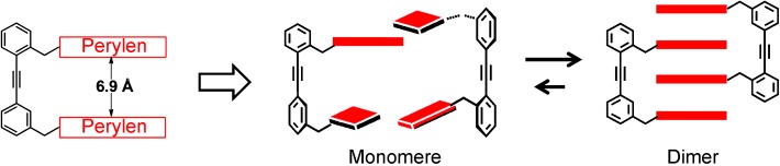 Quadruple π Stack of Two Perylene Bisimide Tweezers: A Bimolecular Complex with Kinetic Stability