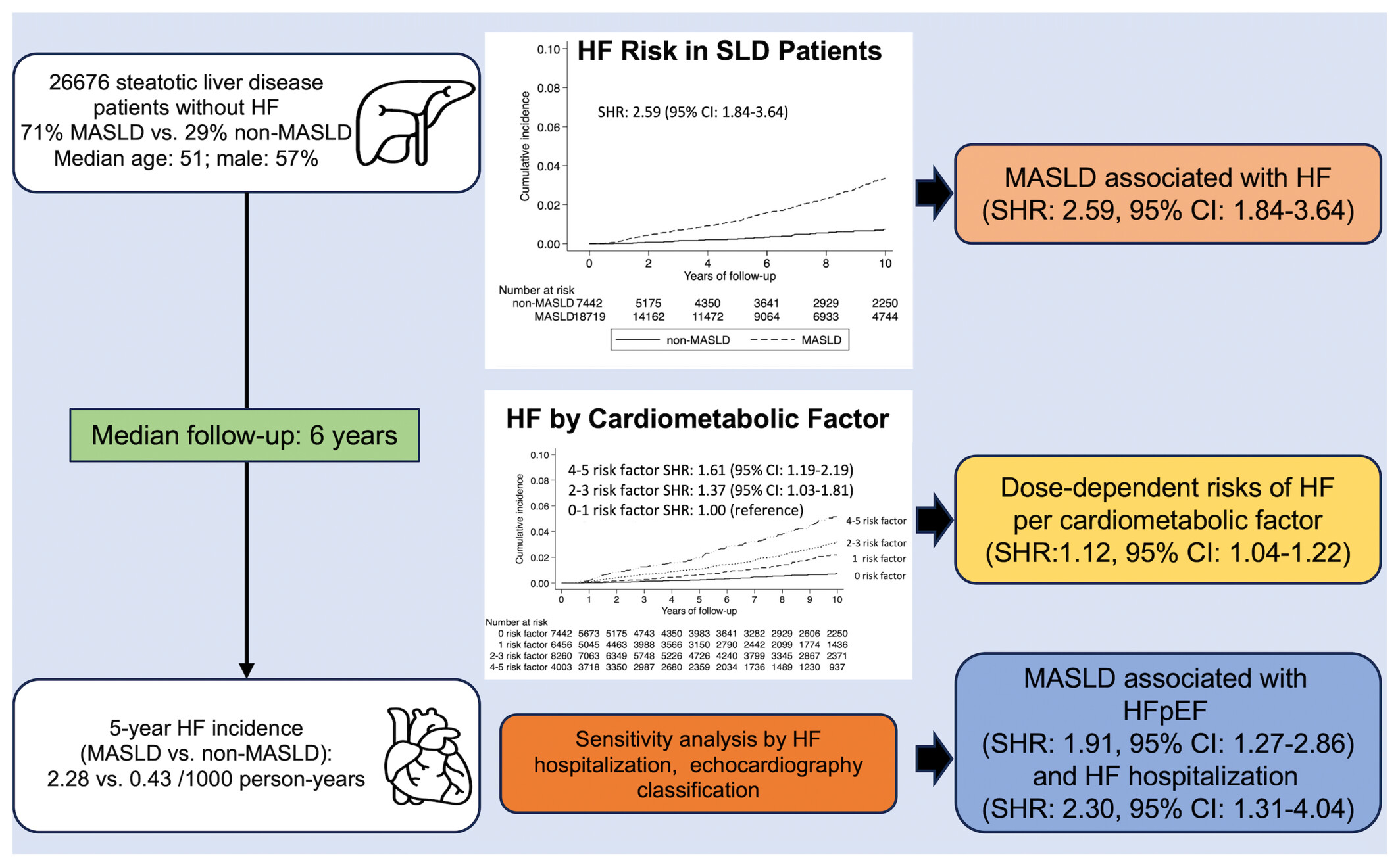 Metabolic dysfunction-associated steatotic liver disease is associated with increased risks of heart failure