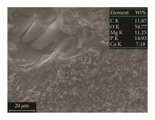 Details are in the caption following the image