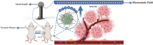 Targeted Delivery of Anticancer Drug Loaded Charged PLGA Polymeric Nanoparticles Using Electrostatic Field