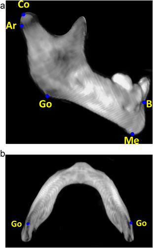 Details are in the caption following the image Details are in the caption following the image