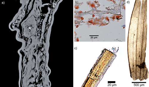 Details are in the caption following the image Details are in the caption following the image