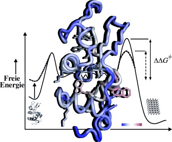 Characteristics of Human Lysozyme and Its Disease-Related Mutants in their Unfolded States