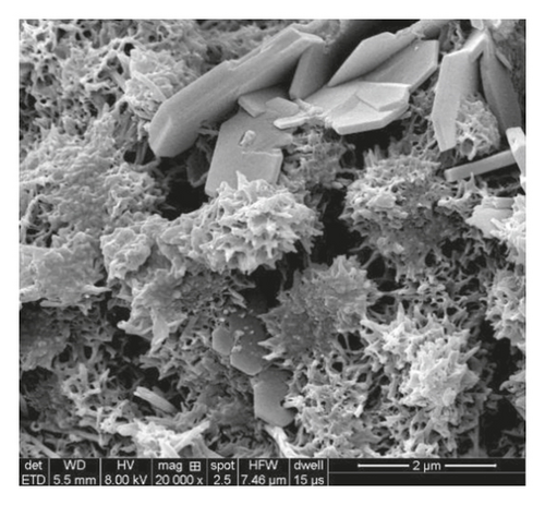 Details are in the caption following the image