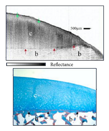 Details are in the caption following the image Details are in the caption following the image