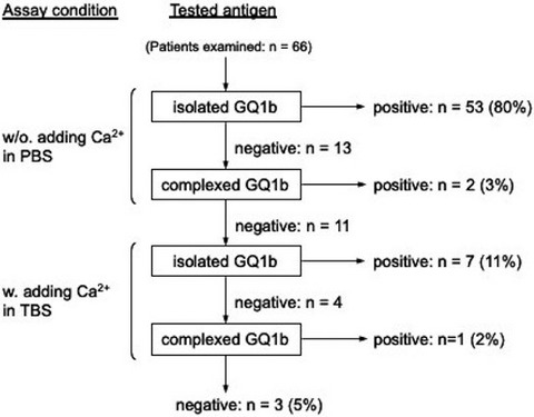 Anti-GQ1b antibody: Recent topics