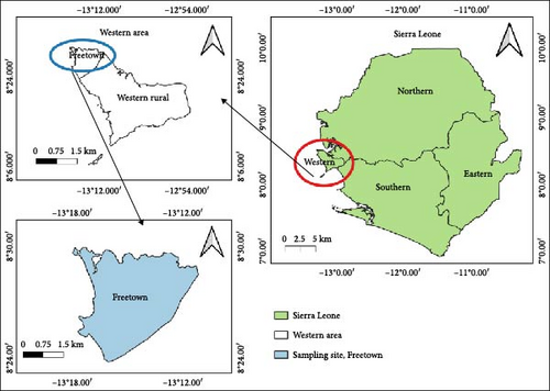 Details are in the caption following the image Details are in the caption following the image