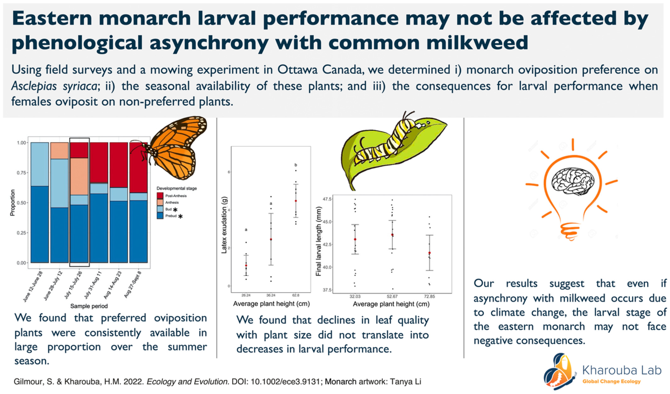 Eastern monarch larval performance may not be affected by shifts in phenological synchrony with milkweed