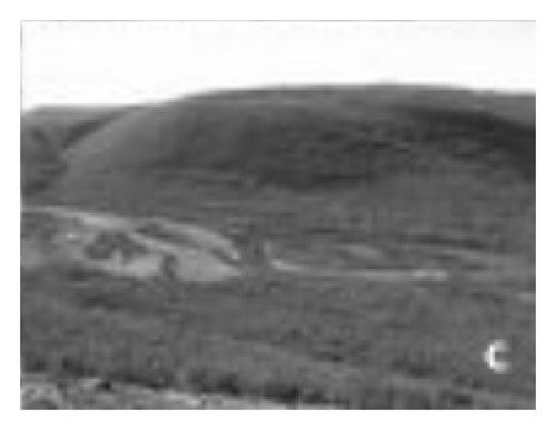 Details are in the caption following the image