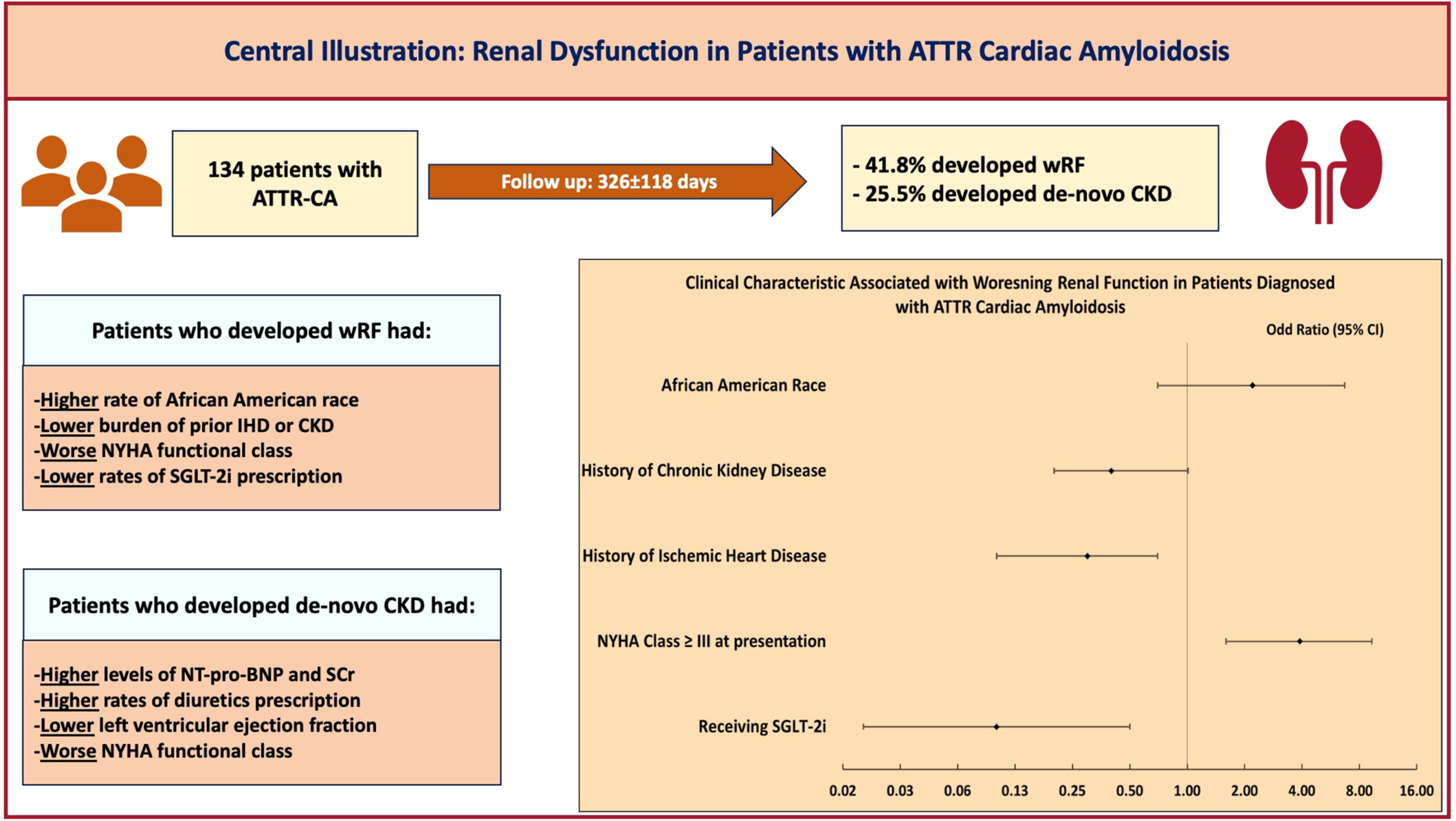 Predictors of developing renal dysfunction following diagnosis of transthyretin cardiac amyloidosis