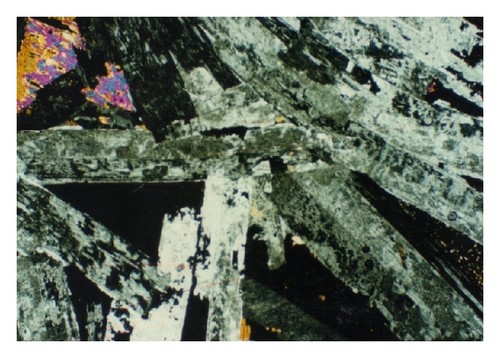 Details are in the caption following the image