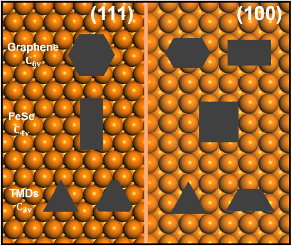 The shapes of synthesized two-dimensional materials
