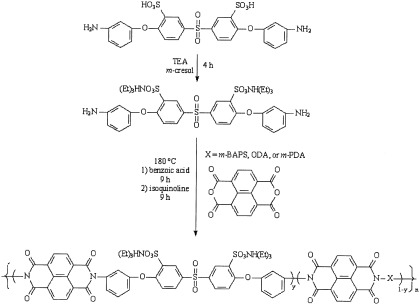 Sulfonated naphthalene dianhydride based polyimide copolymers for proton-exchange-membrane fuel cells. I. Monomer and copolymer synthesis