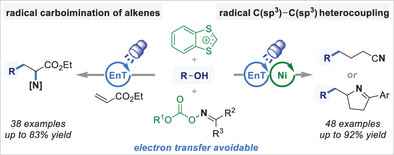 Alcohol Activation by Benzodithiolylium for Deoxygenative Alkylation Driven by Photocatalytic Energy Transfer