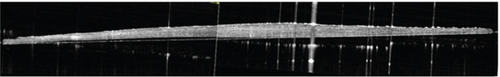 Details are in the caption following the image Details are in the caption following the image