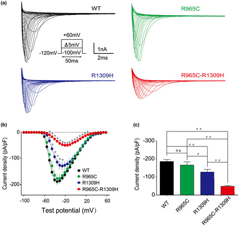 Identification of rare heterozygous linkage R965C-R1309H mutations in the pore-forming region of SCN5A gene associated with complex arrhythmia