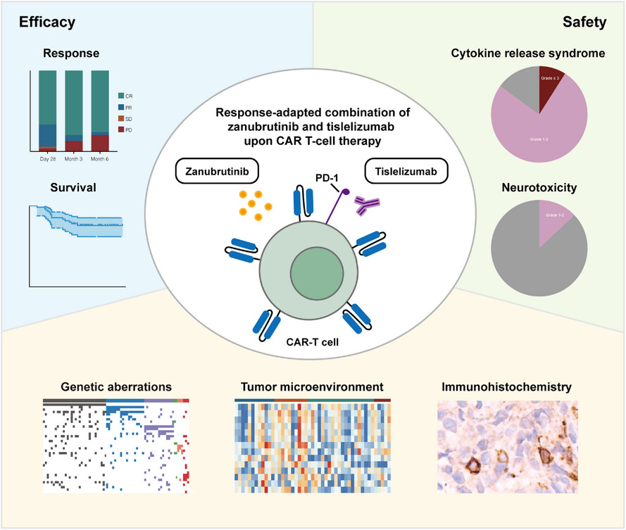 Response-adapted zanubrutinib and tislelizumab as a potential strategy to enhance CD19 CAR T-cell therapy in relapsed/refractory large B-cell lymphoma: A retrospective observational study