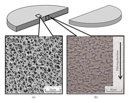Details are in the caption following the image