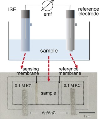 A Disposable Planar Paper-Based Potentiometric Ion-Sensing Platform