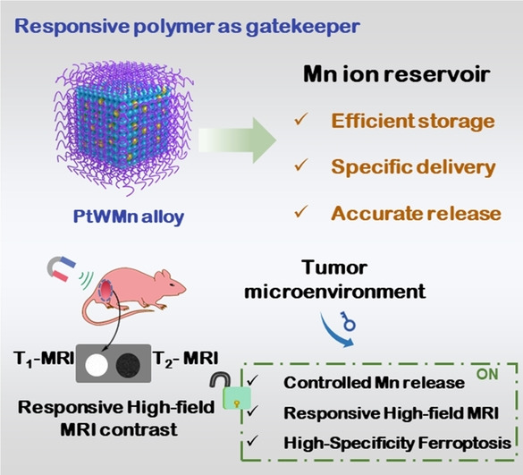 Ternary Alloy PtWMn as a Mn Nanoreservoir for High-Field MRI Monitoring and Highly Selective Ferroptosis Therapy
