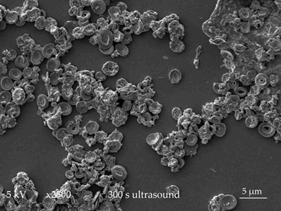 Formation and Separation of Particles from Emiliania huxleyi