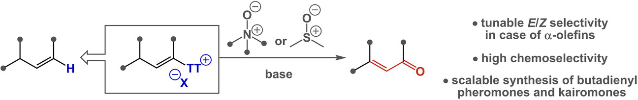 Intertwining Olefin Thianthrenation with Kornblum/Ganem Oxidations: Ene-type Oxidation to Furnish α,β-Unsaturated Carbonyls
