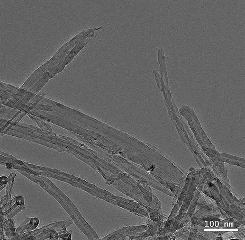 Details are in the caption following the image