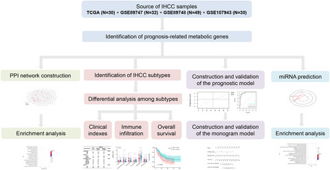 Developing metabolic gene signatures to predict intrahepatic cholangiocarcinoma prognosis and mining a miRNA regulatory network