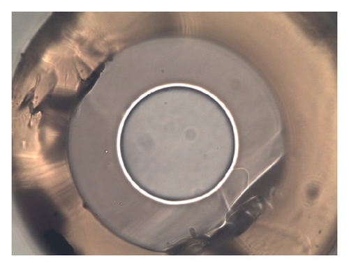 Details are in the caption following the image