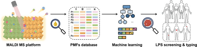 Group IV Bimetallic MOFs Engineering Enhanced Metabolic Profiles Co-Predict Liposarcoma Recognition and Classification