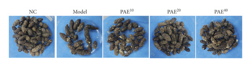 Details are in the caption following the image Details are in the caption following the image