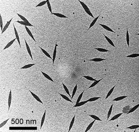 Pointed-Oval-Shaped Micelles from Crystalline-Coil Block Copolymers by Crystallization-Driven Living Self-Assembly