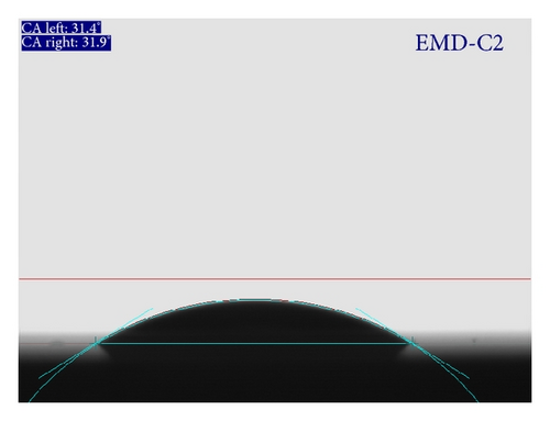 Details are in the caption following the image