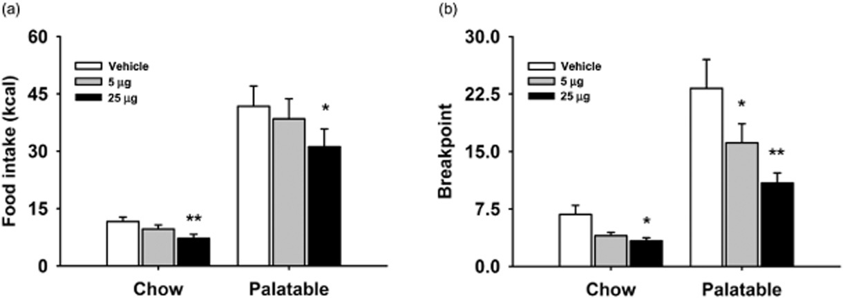 Opioid system in the medial prefrontal cortex mediates binge-like eating