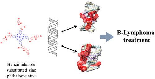 DNA physical interaction mediated b-lymphoma treatment offered by tetra benzimidazole-substituted zinc (ii) phthalocyanine derivative