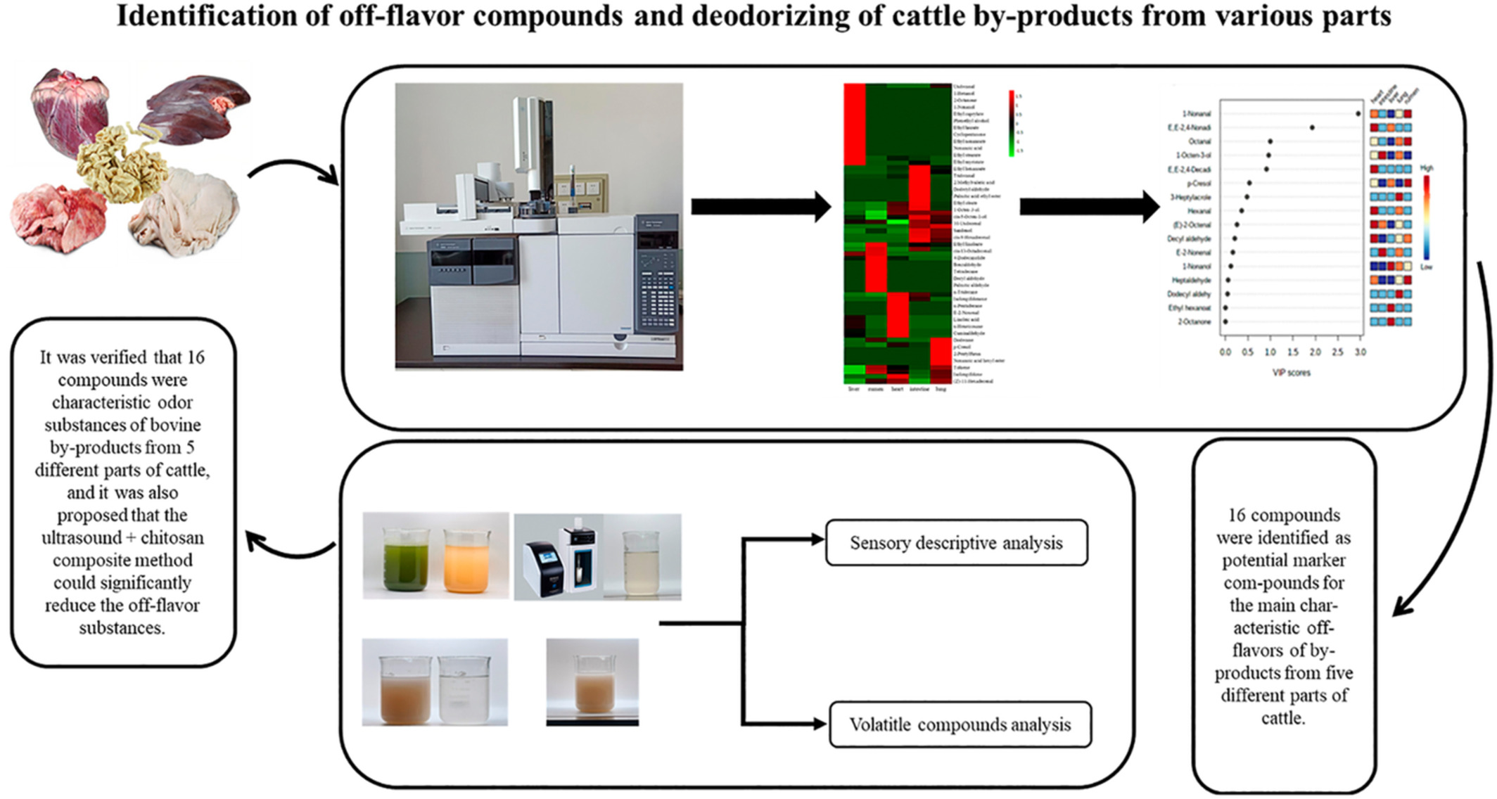 Identification of off-flavor compounds and deodorizing of cattle by-products