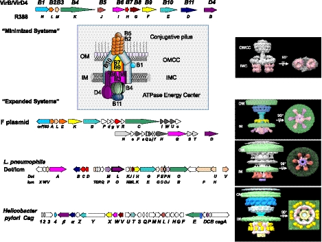 Details are in the caption following the image Details are in the caption following the image