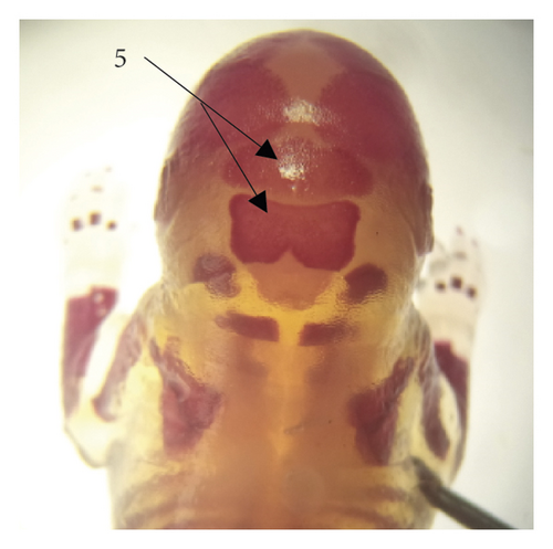 Details are in the caption following the image Details are in the caption following the image