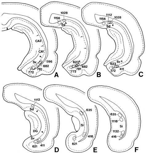 Details are in the caption following the image