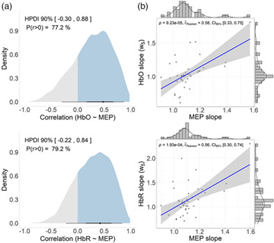 Hierarchical Bayesian modeling of the relationship between task-related hemodynamic responses and cortical excitability