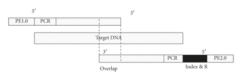 Details are in the caption following the image