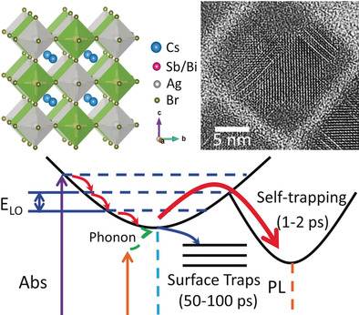 Colloidal Synthesis and Charge-Carrier Dynamics of Cs2AgSb1−yBiyX6 (X: Br, Cl; 0 ≤y ≤1) Double Perovskite Nanocrystals