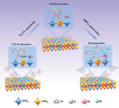 Pt-Loaded Nb─W Metal Composite Oxide for Selective Cleavage of Secondary C─O Bonds