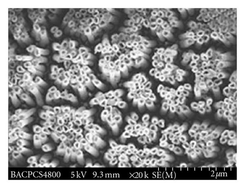 Details are in the caption following the image