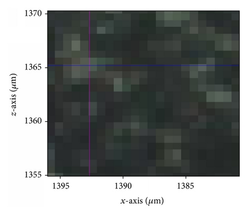 Details are in the caption following the image Details are in the caption following the image