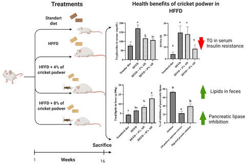 Consumption of cricket (Acheta domesticus) flour decreases insulin resistance and fat accumulation in rats fed with high-fat and -fructose diet